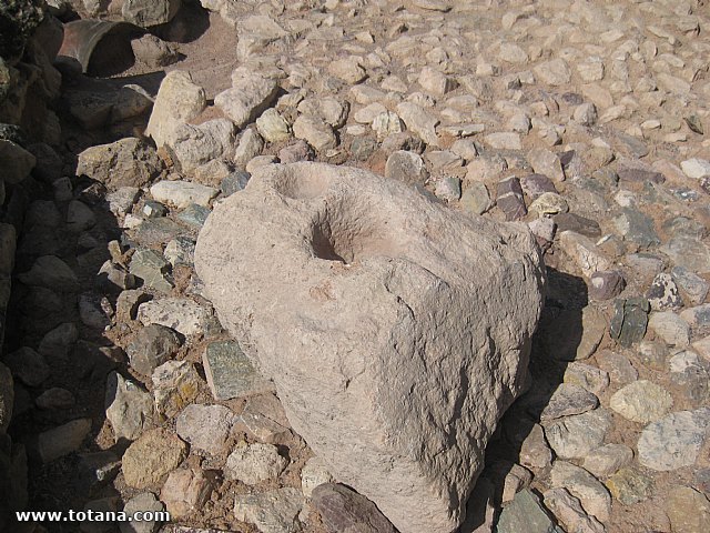 Visita amas de casa. Yacimiento Argrico de La bastida - 91