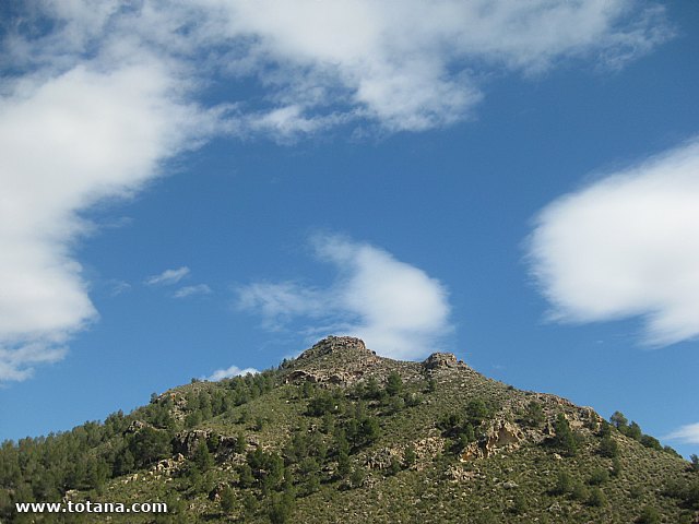 Visita amas de casa. Yacimiento Argrico de La bastida - 102