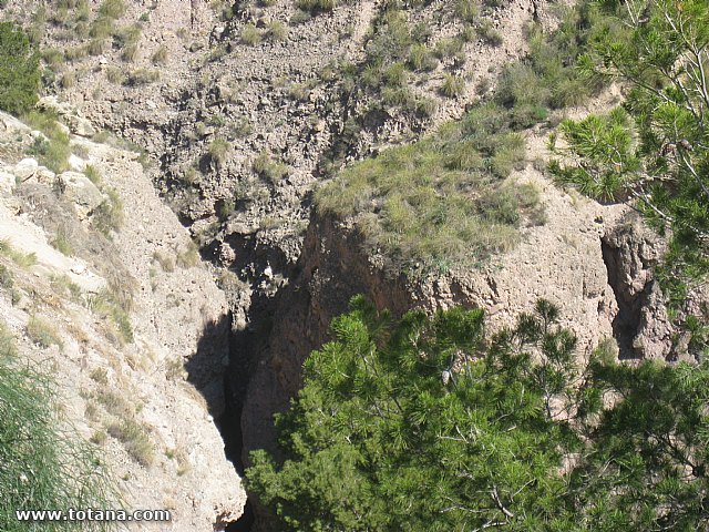Visita amas de casa. Yacimiento Argrico de La bastida - 107