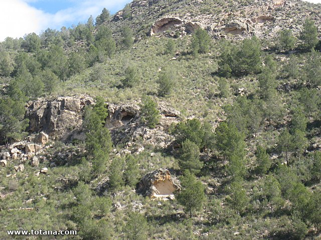 Visita amas de casa. Yacimiento Argrico de La bastida - 108