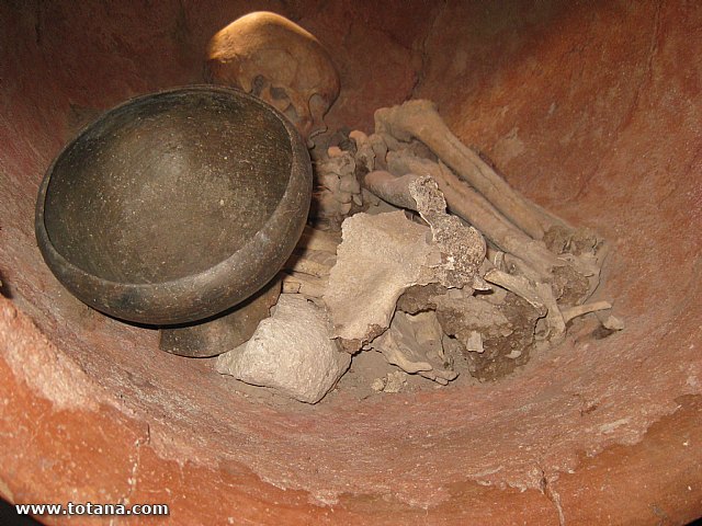 Visita amas de casa. Yacimiento Argrico de La bastida - 115