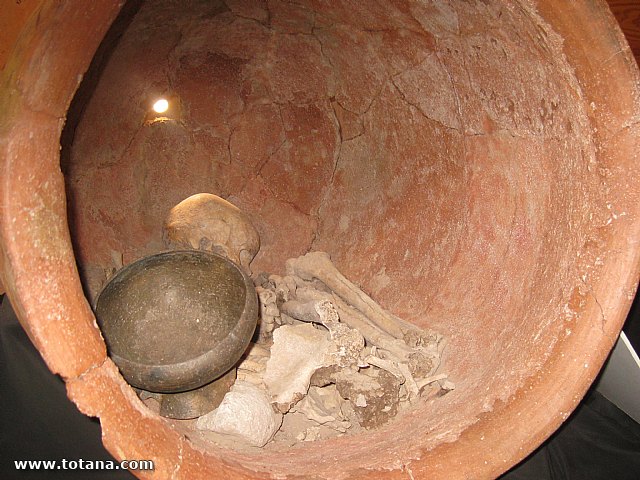 Visita amas de casa. Yacimiento Argrico de La bastida - 116