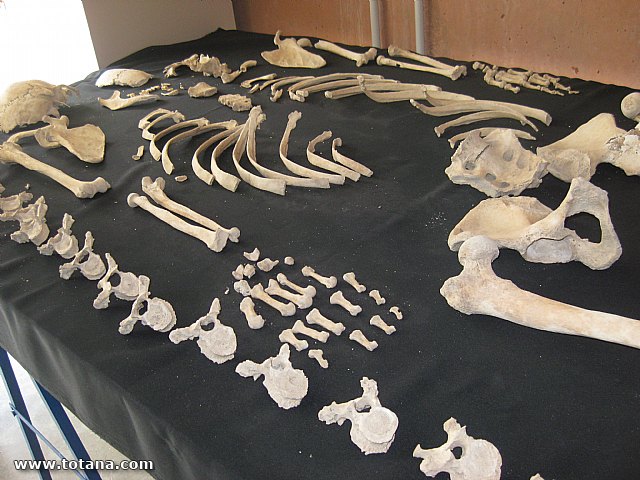 Visita amas de casa. Yacimiento Argrico de La bastida - 119