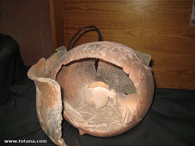 Visita amas de casa. Yacimiento Argrico de La bastida - 121