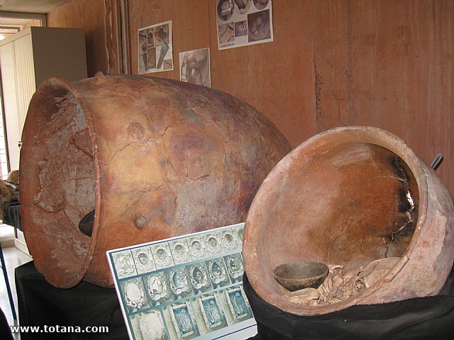 Visita amas de casa. Yacimiento Argrico de La bastida - 122