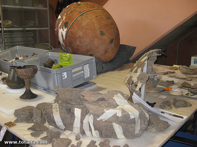 Visita amas de casa. Yacimiento Argrico de La bastida - 123