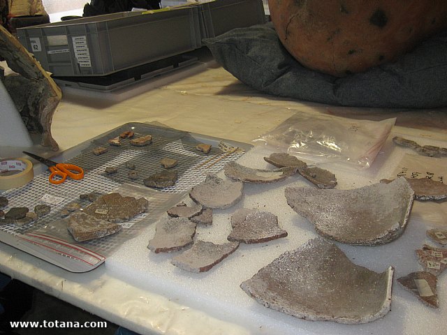 Visita amas de casa. Yacimiento Argrico de La bastida - 126