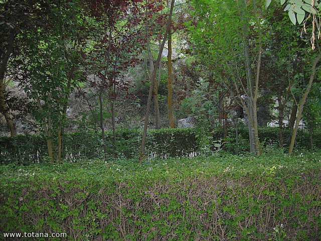 Viaje a Baza y Castril (Granada) - 138