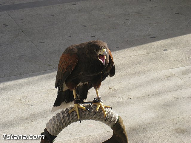 Viaje a Baza (Granada) - 57