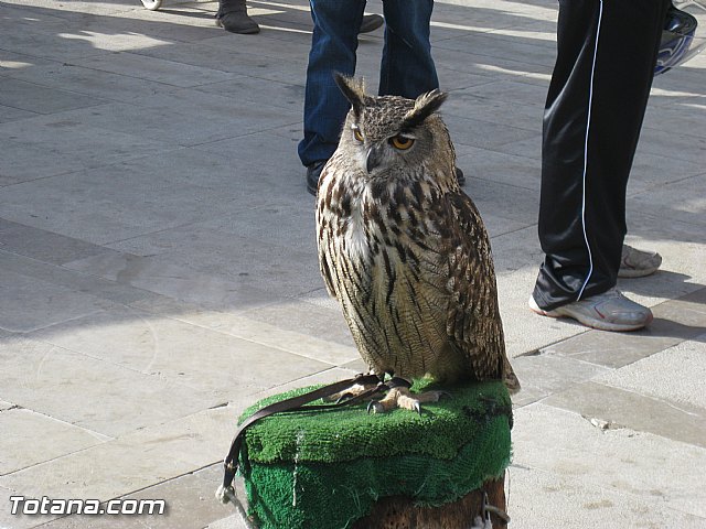 Viaje a Baza (Granada) - 58