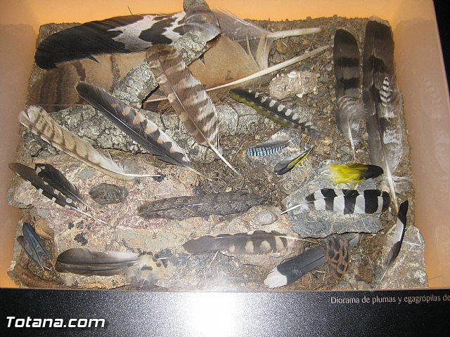 Viaje a Baza (Granada) - 137