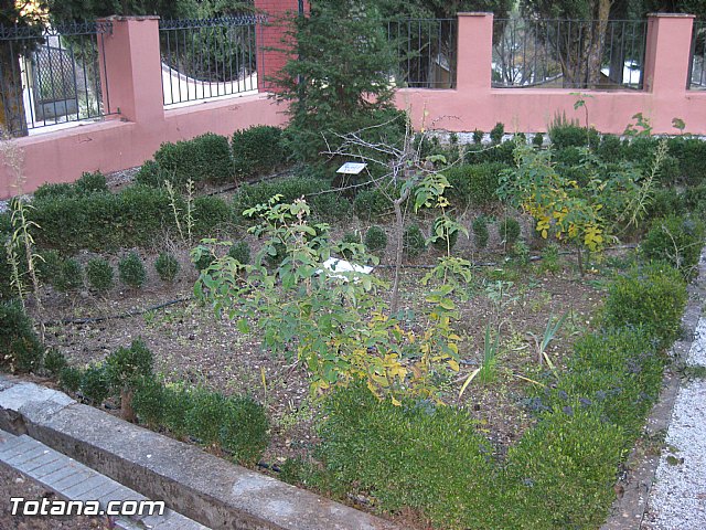 Viaje a Baza (Granada) - 139