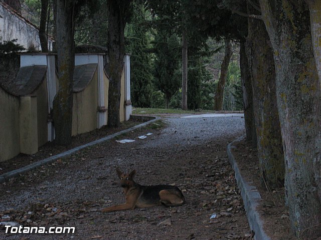 Viaje a Baza (Granada) - 141