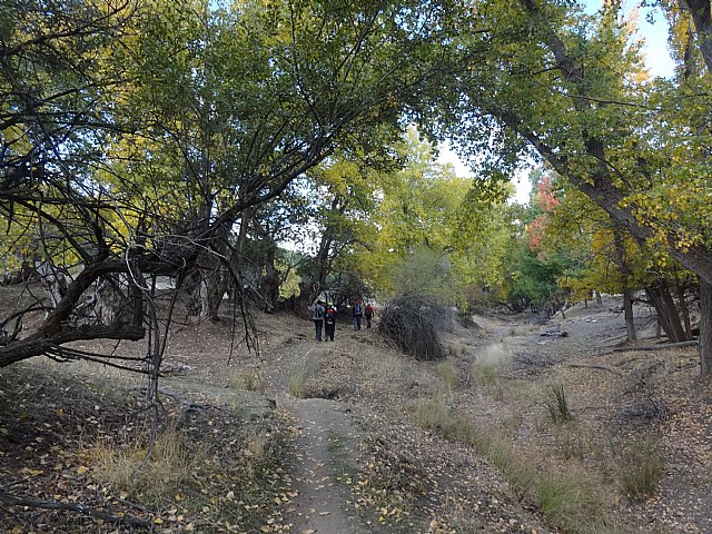 El Club Senderista de Totana visit la Sierra de Baza - 25