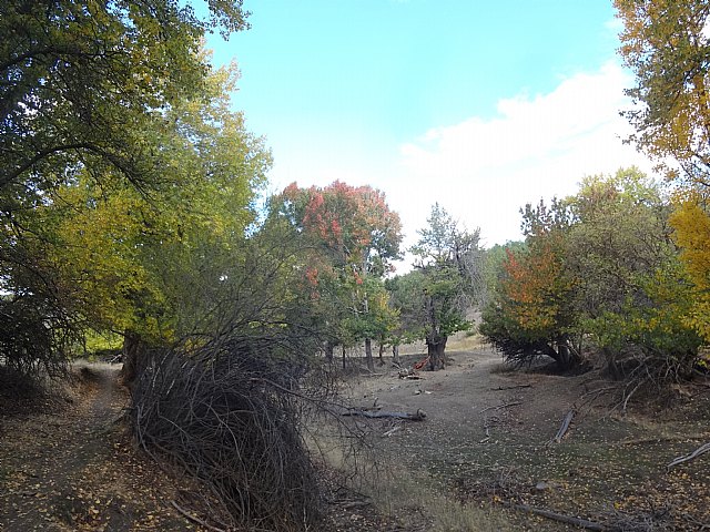 El Club Senderista de Totana visit la Sierra de Baza - 27