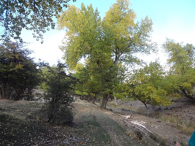 El Club Senderista de Totana visit la Sierra de Baza - 32