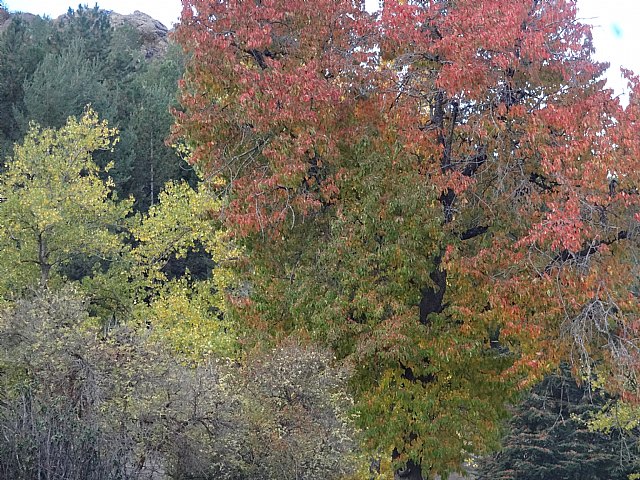 El Club Senderista de Totana visit la Sierra de Baza - 33