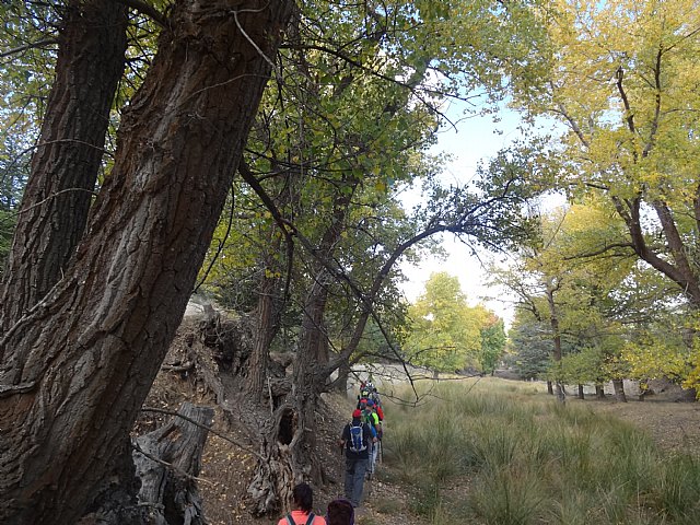 El Club Senderista de Totana visit la Sierra de Baza - 36