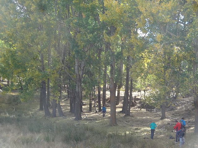 El Club Senderista de Totana visit la Sierra de Baza - 41