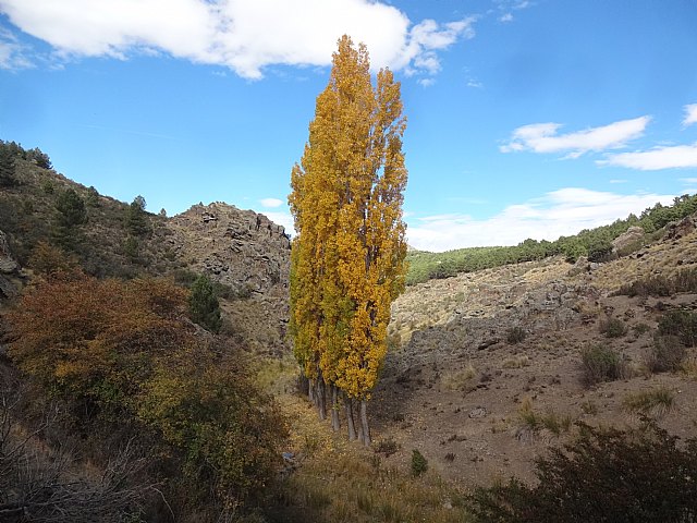 El Club Senderista de Totana visit la Sierra de Baza - 44