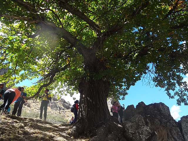 El Club Senderista de Totana visit la Sierra de Baza - 46