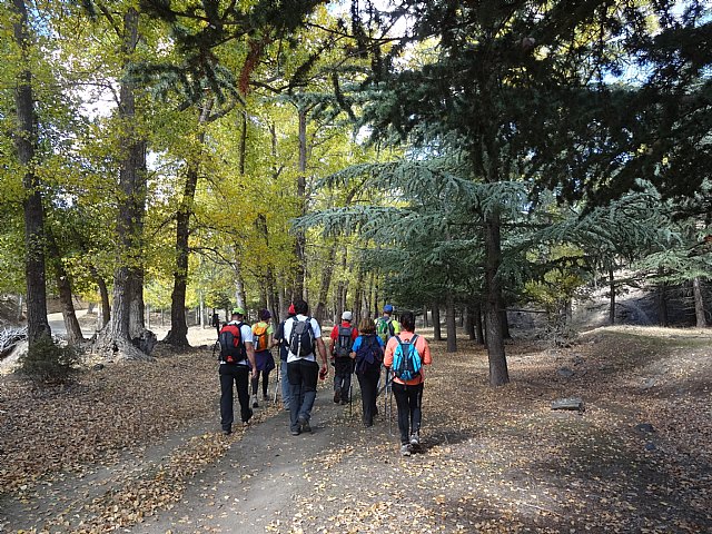 El Club Senderista de Totana visit la Sierra de Baza - 55