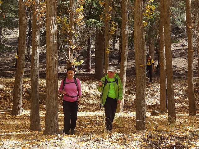 El Club Senderista de Totana visit la Sierra de Baza - 58