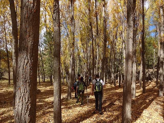 El Club Senderista de Totana visit la Sierra de Baza - 66