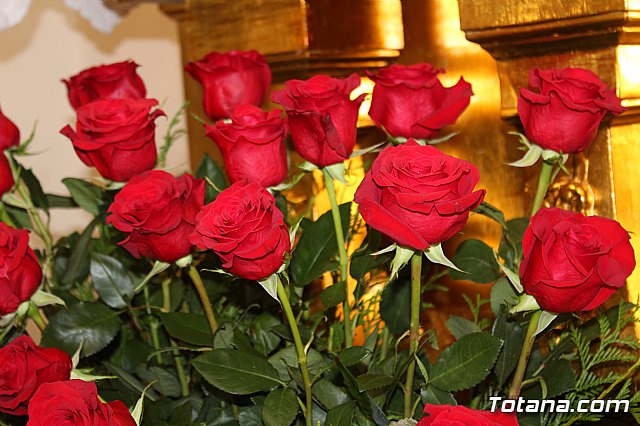 Las reliquias de los beatos vicencianos martirizados en Totana descansan en Santiago El Mayor - 14