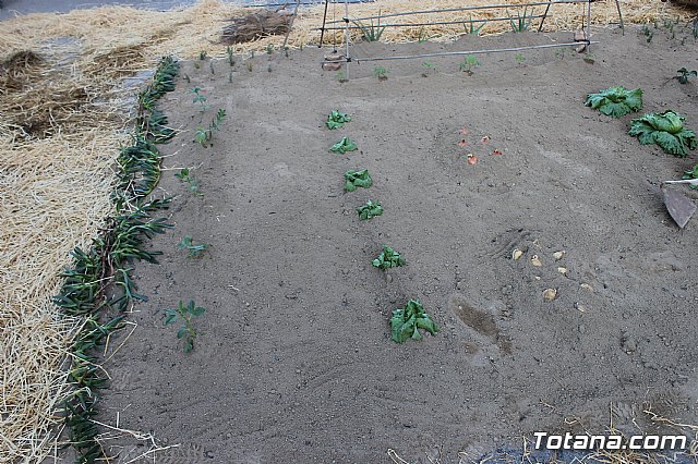  Beln Viviente de la Hermandad de Jess en el Calvario 2020 - 25