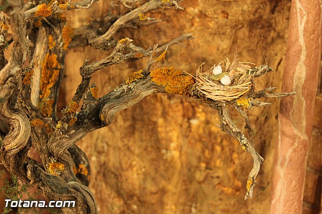 Inauguracin del Beln Municipal 2012 - 6