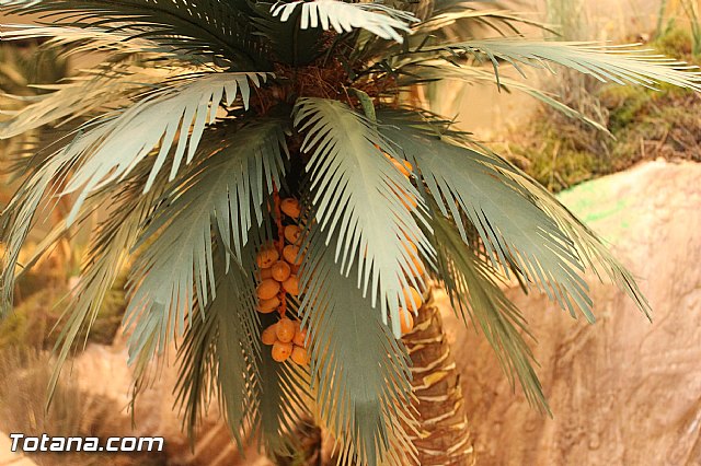 Inauguracin del Beln Municipal 2012 - 37