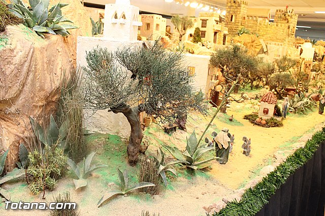 Inauguracin del Beln Municipal 2012 - 38