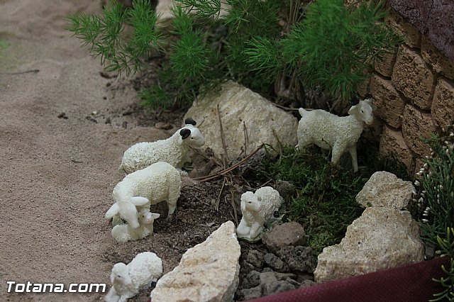 Beln de la Hermandad de la Vernica - 2013 - 31