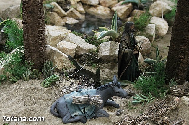 Beln de la Hermandad de la Vernica - 2013 - 67