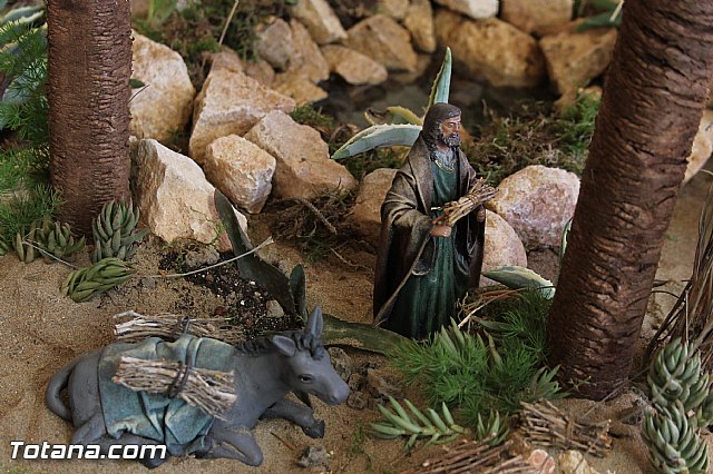 Beln de la Hermandad de la Vernica - 2013 - 217