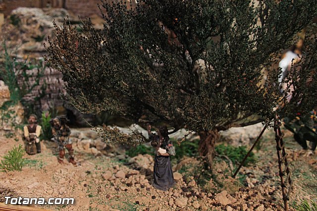 Beln de la Hdad. del Beso de Judas y Jess Traspasado - 2013 - 18