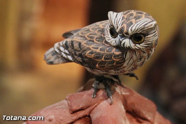 Inauguracin Beln municipal. Navidad 2013/14 - 52