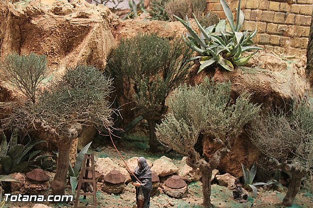 Inauguracin Beln municipal. Navidad 2013/14 - 88