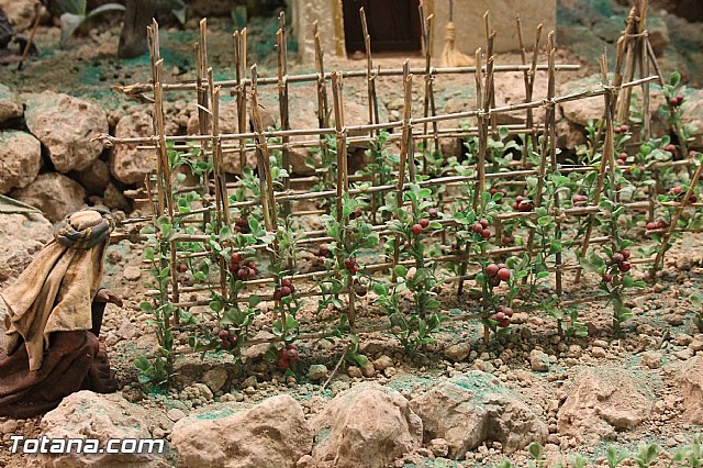 Inauguracin Beln municipal. Navidad 2013/14 - 89