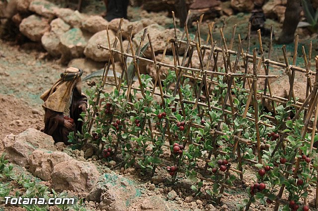 Inauguracin Beln municipal. Navidad 2013/14 - 93