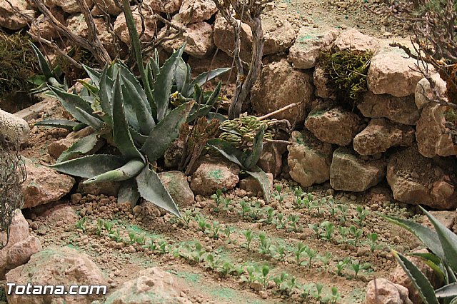 Inauguracin Beln municipal. Navidad 2013/14 - 121