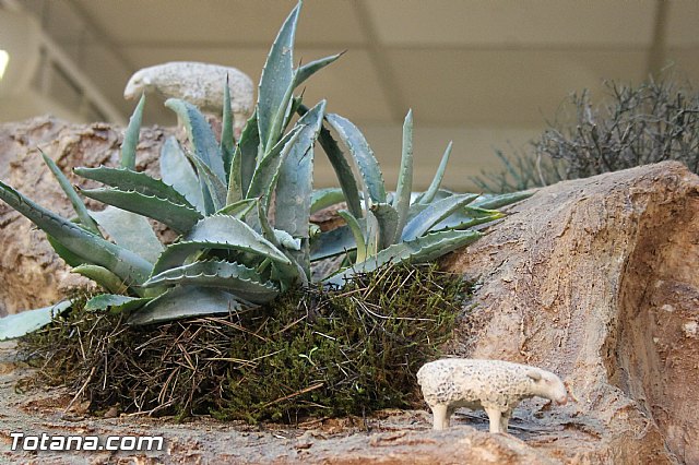 Inauguracin Beln municipal. Navidad 2013/14 - 129