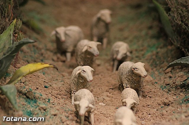 Inauguracin Beln municipal. Navidad 2013/14 - 149