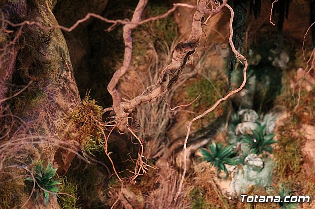 Inauguracin Beln municipal - Navidad 2019 - 85