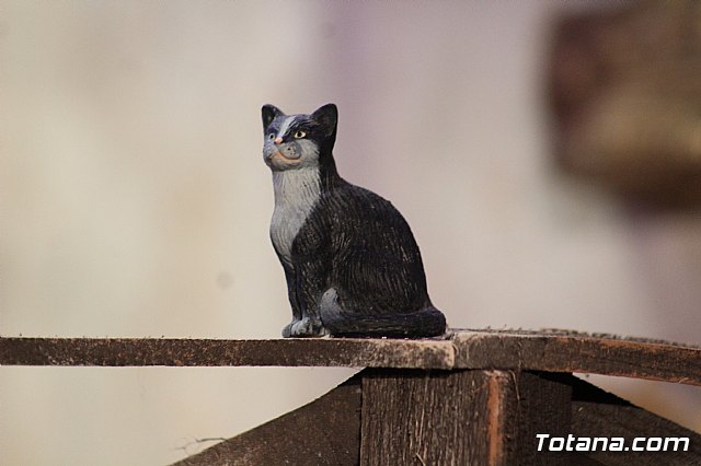 Inauguracin Beln municipal - Navidad 2019 - 94