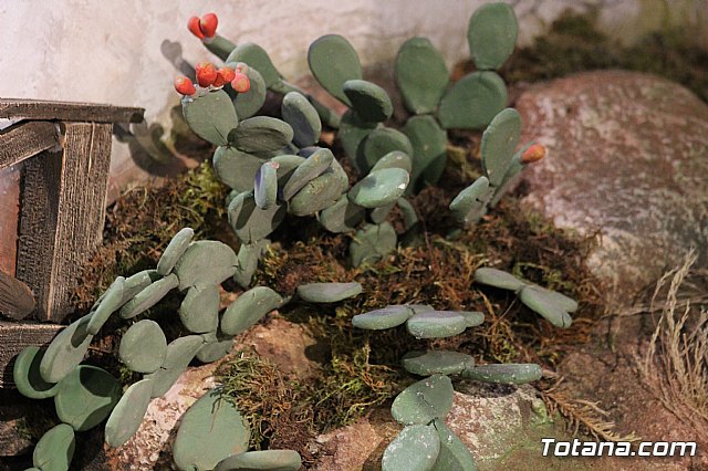 Inauguracin Beln municipal - Navidad 2019 - 96