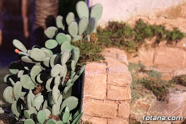 Inauguracin Beln municipal - Navidad 2019 - 106