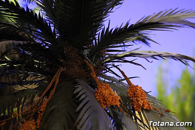 Inauguracin Beln municipal - Navidad 2019 - 122