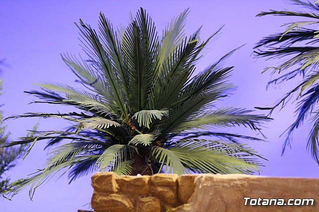 Inauguracin Beln municipal - Navidad 2019 - 123